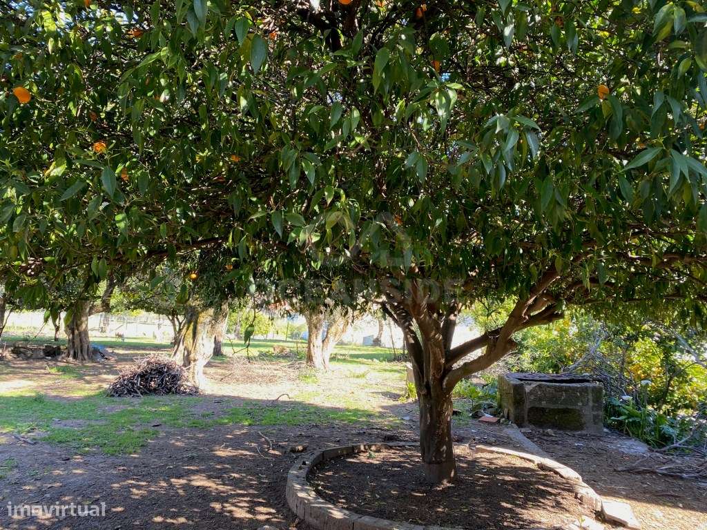 Moradia independente com 500 m2 área bruta - Grande imagem: 5/37