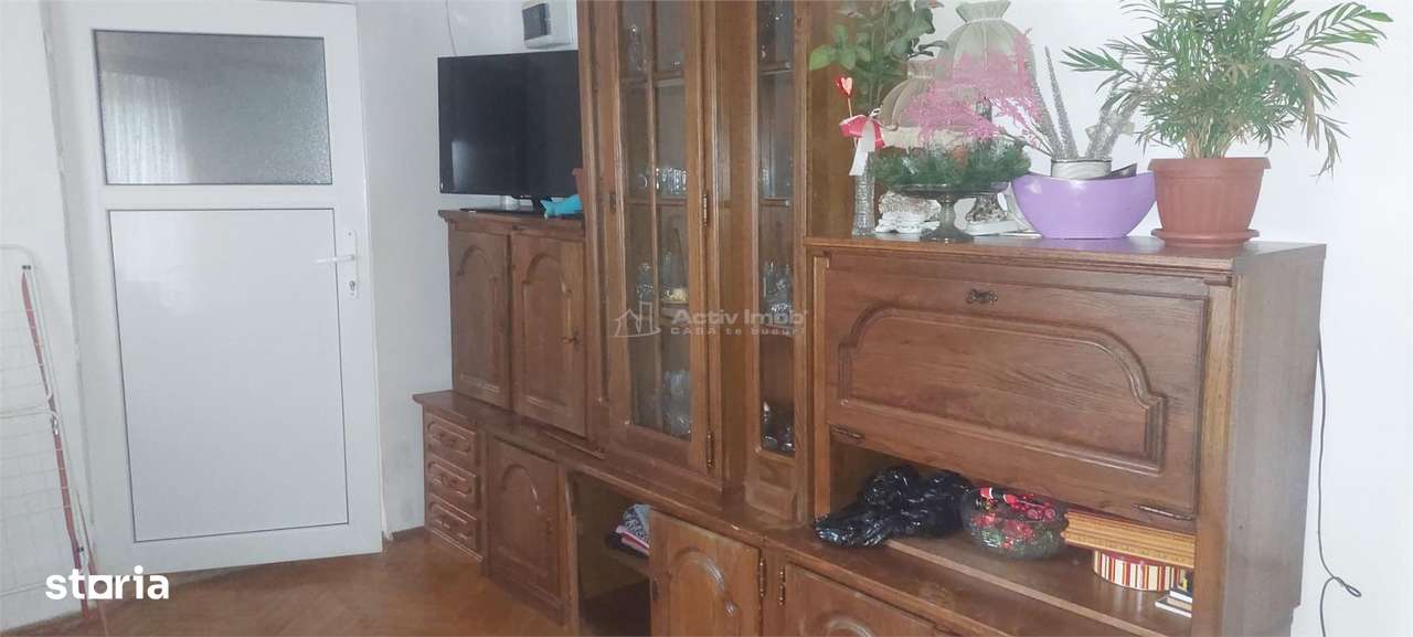 5 cam - Sanicolau - Mic - Imagine principală: 5/10