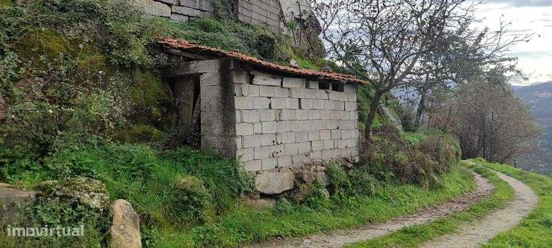 Moradia para restauro - Cinfães - Grande imagem: 5/9
