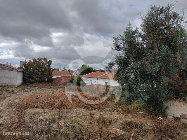 Ruina com Terreno no Perimetro Urbano 1460 m2-7