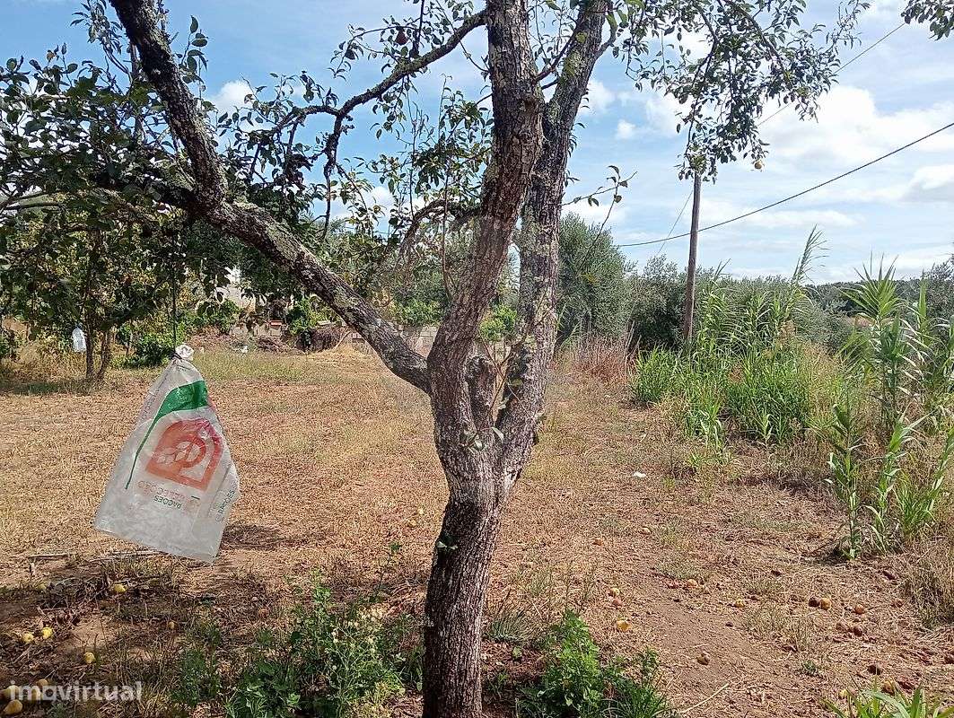 Terreno  para venda - Grande imagem: 4/6