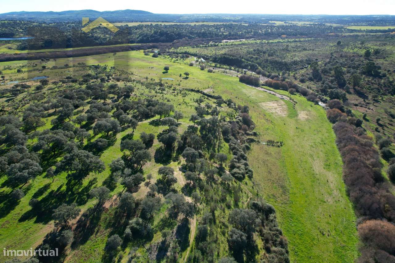 Quinta  Venda em Escalos de Baixo e Mata,Castelo Branco - Grande imagem: 5/33