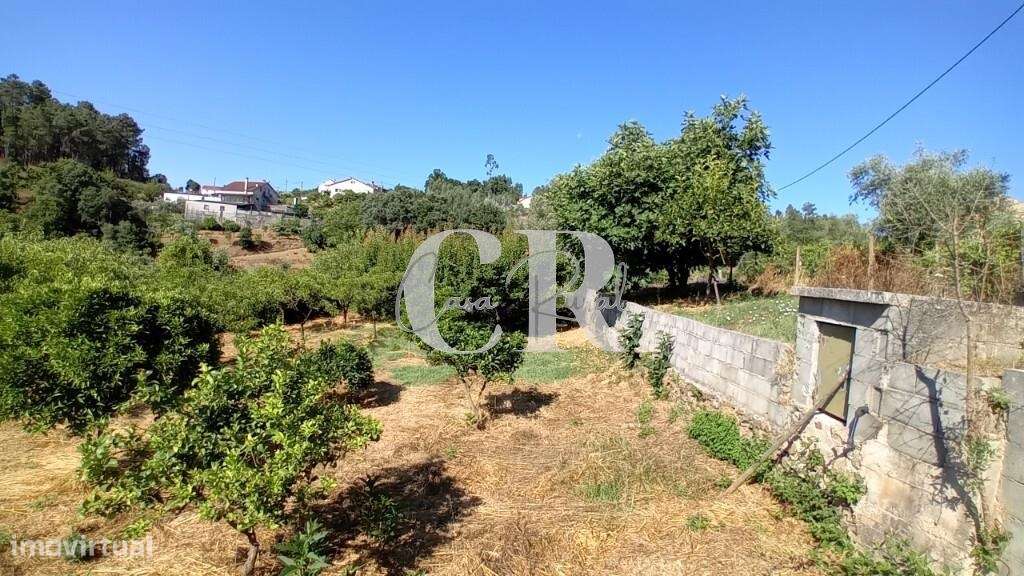 Terreno rustico a confinar com ribeiro em Figueiró dos Vinhos - Grande imagem: 3/19