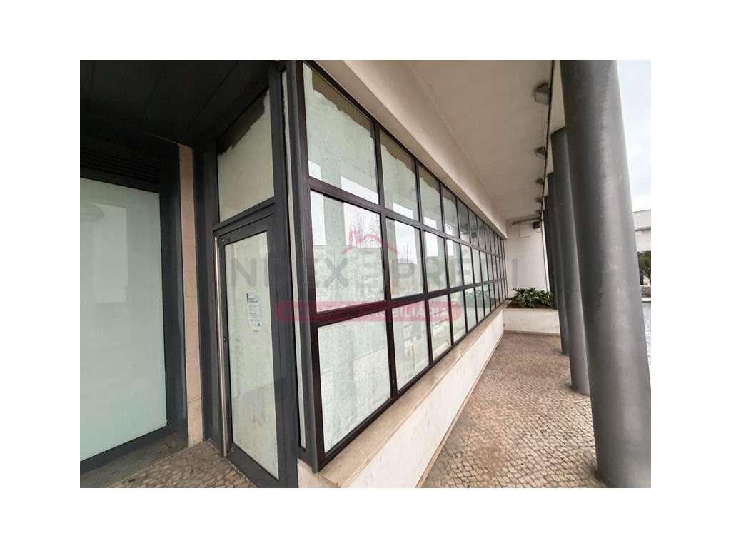 Ampla Loja com cave - Vila Nova de Poiares-9