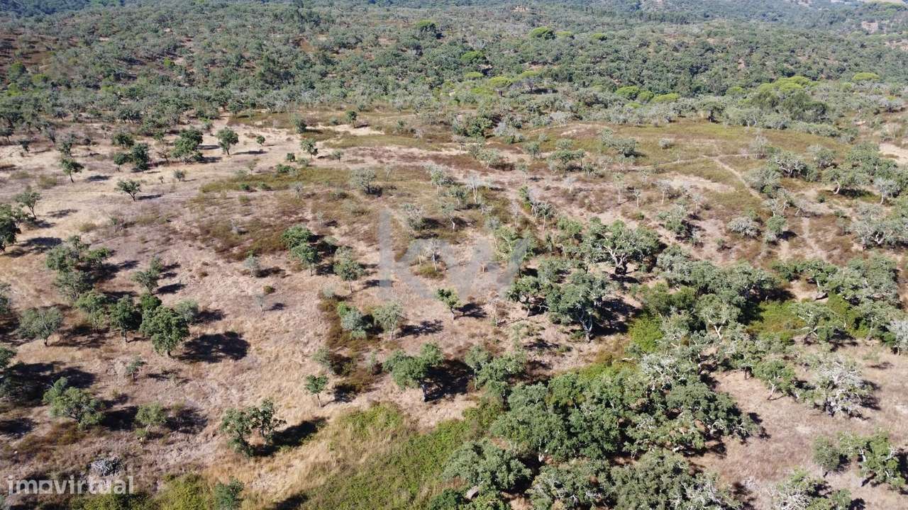 Terreno com 50 hectares, uma vista deslumbrante e inúmeras possibilida - Grande imagem: 2/15