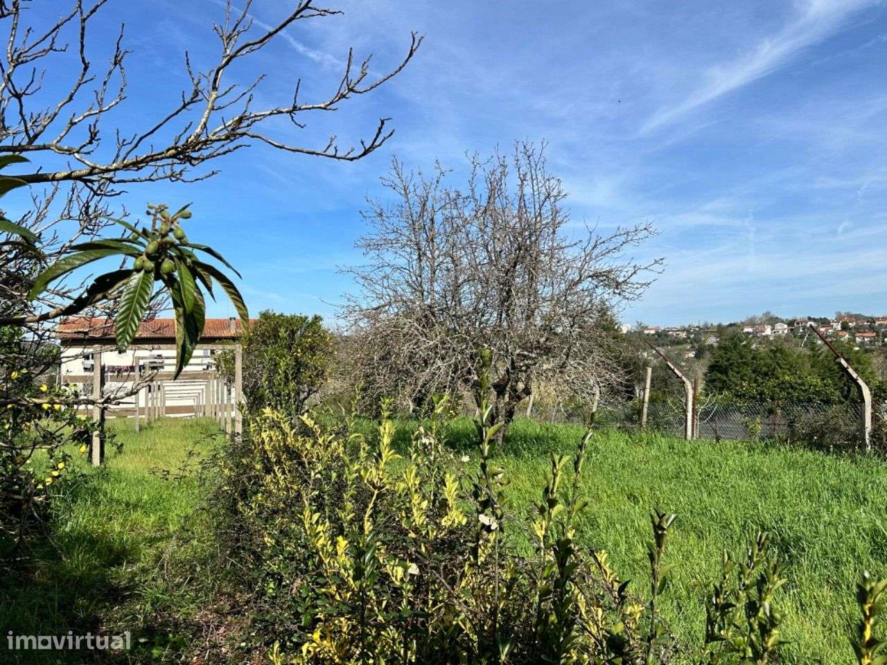 Imóvel de banco : escritura ao abrigo do simplex-19