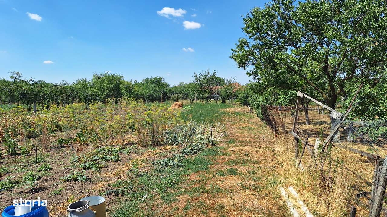 Casa mare din cărămidă Com Sagu, teren 2800mp - Imagine principală: 2/5