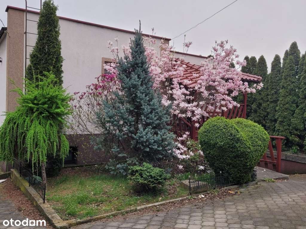 Dom w pobliżu rzeki otoczony zielenią nawet zimą - Pełny obrazek: 4/18