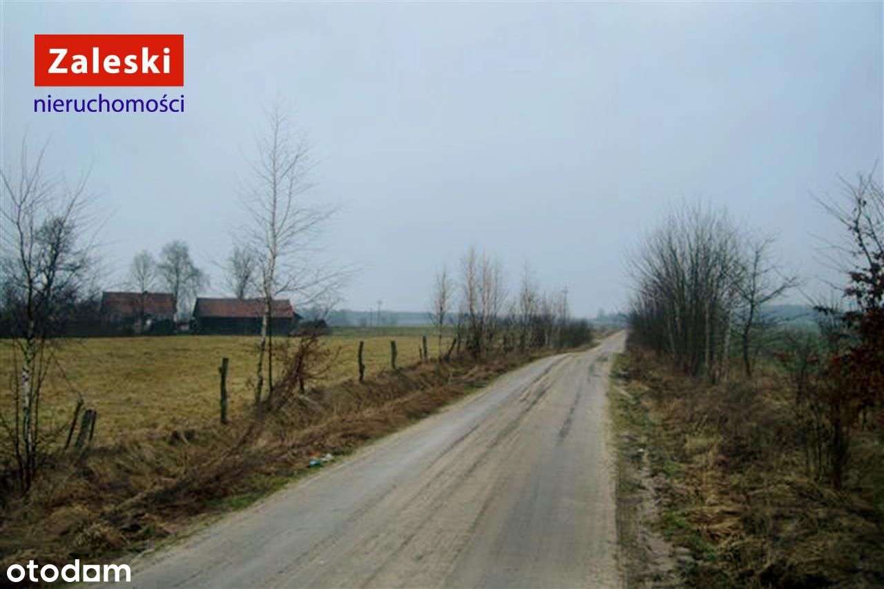 Działka rolna z przeznaczeniem pod energetykę odna - Pełny obrazek: 2/3