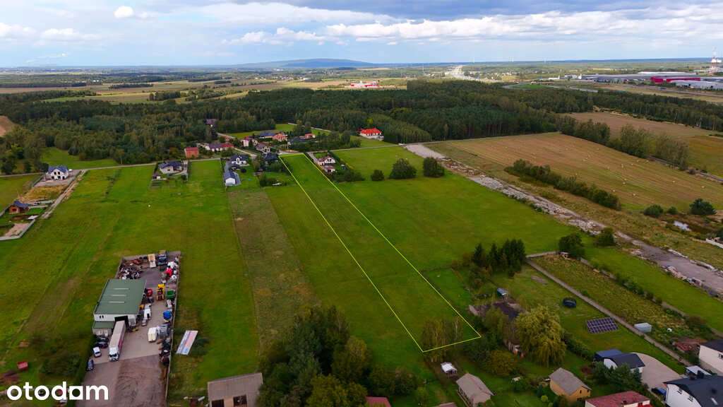 Atrakcyjna działka 8341 m2 - 7 km od Radomska - Pełny obrazek: 5/5