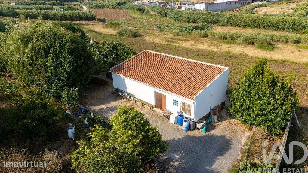 Armazém T1 em Lourinhã e Atalaia de 317,00 m2 - Grande imagem: 5/10