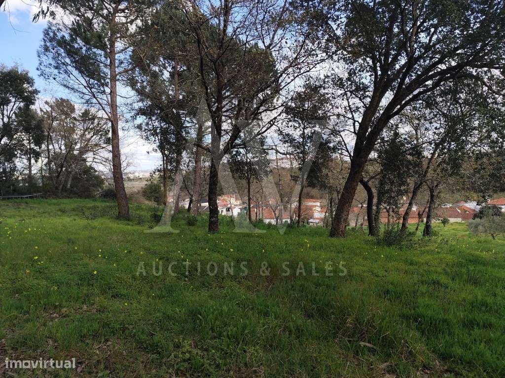 Terreno para construção com área de 2.541 m² - Parceiros, Leiria - Grande imagem: 2/5