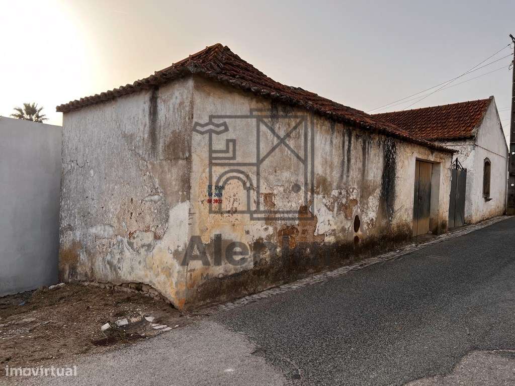 Adega para transformação em moradia-15