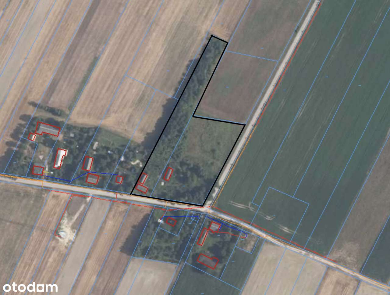 Działka, 9 500 m², Miechów - Pełny obrazek: 1/3