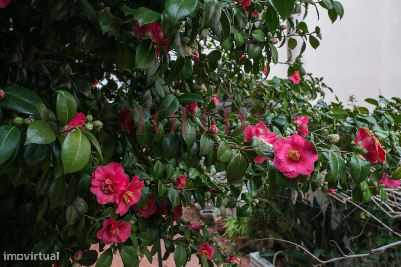 Moradia T7 em Almeirim-52