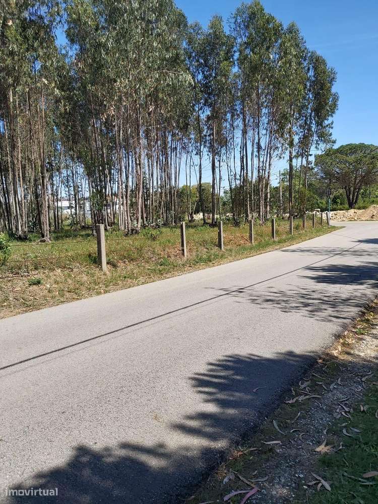 Excelente Terreno urbano - Grande imagem: 3/17