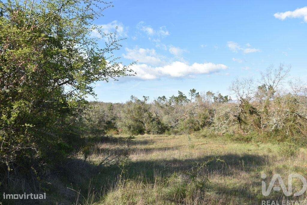 Terreno Agrícola em Chãos - Grande imagem: 2/36