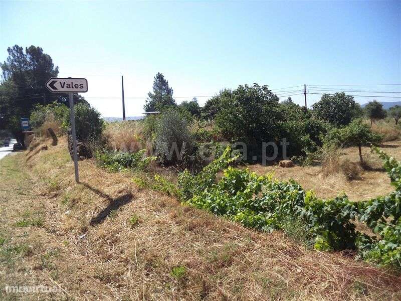 Quinta / Fundão, Pêro Viseu - Grande imagem: 3/7