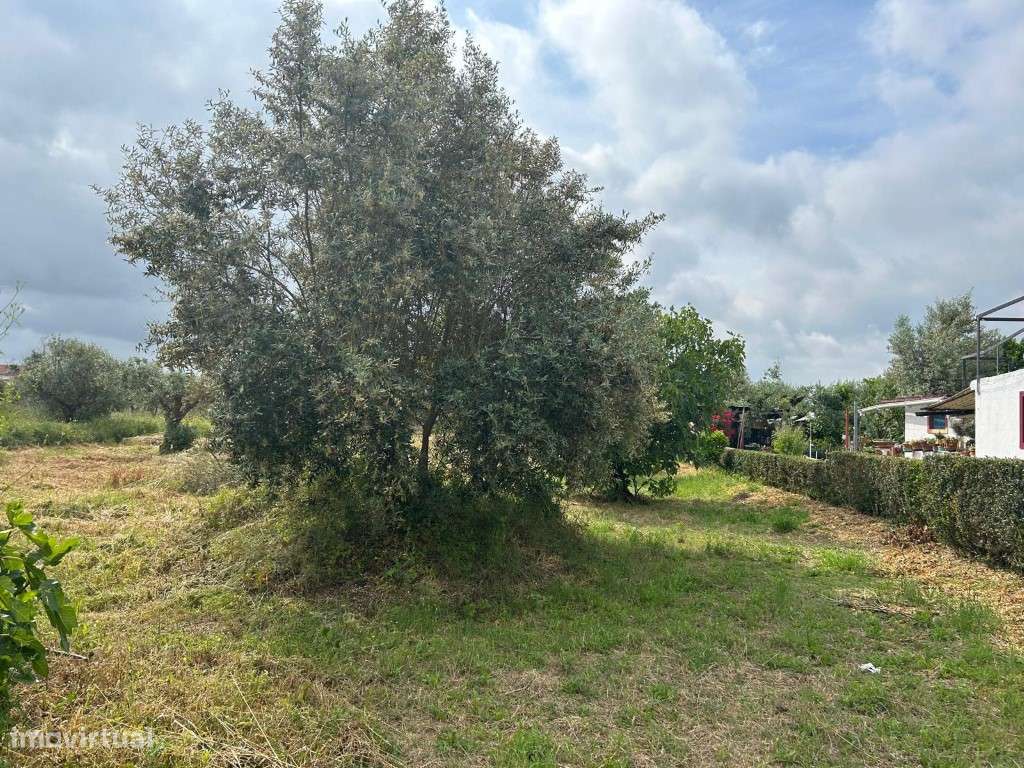 Terreno Urbano Venda Abrantes - Grande imagem: 5/13