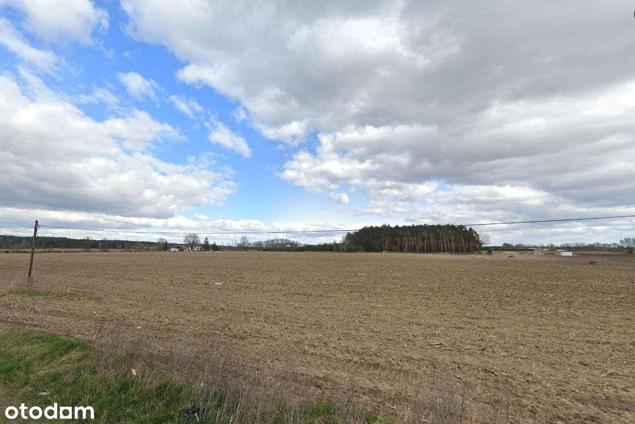 Toporzysko Prowizja 0%-14