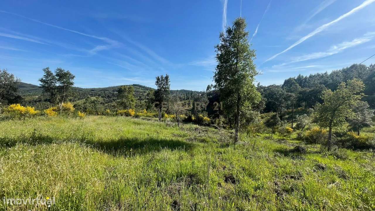 Terreno rústico em Aranhas, Penamcor - Grande imagem: 4/7