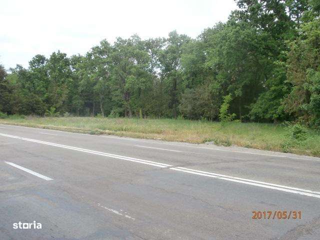 Teren de vanzare in Mangalia-Neptun_OMV Petrom SA - Imagine principală: 5/5