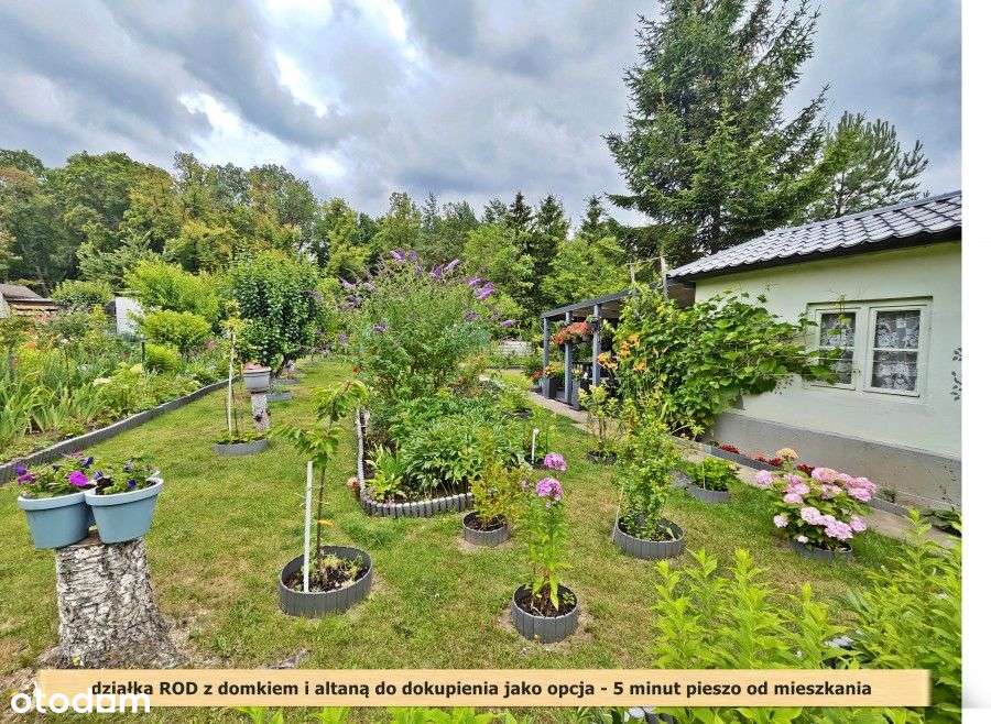 Po kapitalnym remoncie z pięknym widokiem-15