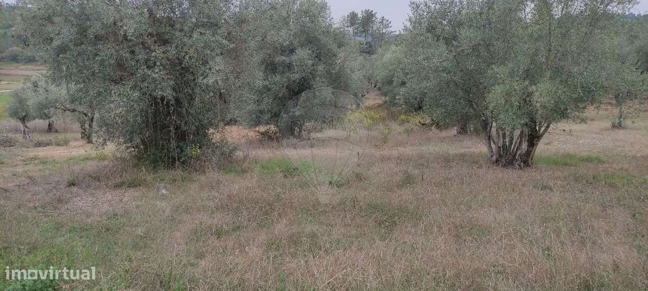 Terreno  para venda - Grande imagem: 4/5