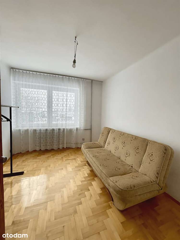 Dom z dużą działką przy trasie na Warszawę-8