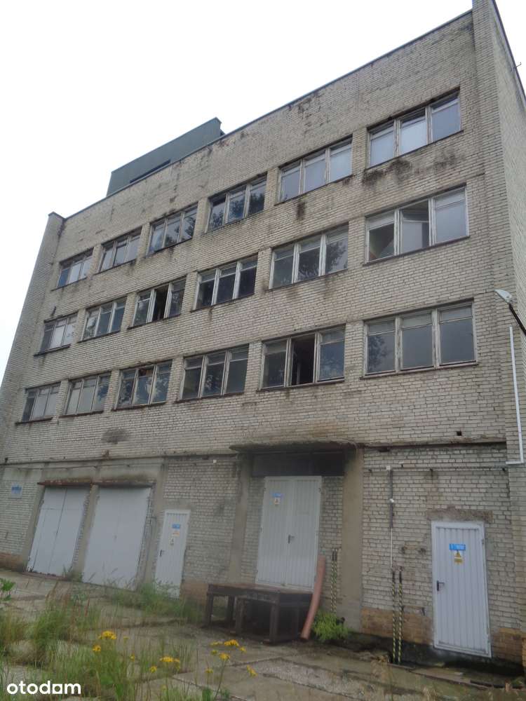 Nieruchomość - zakład produkcyjny w Woli Krzysztoporskiej - Pełny obrazek: 4/5