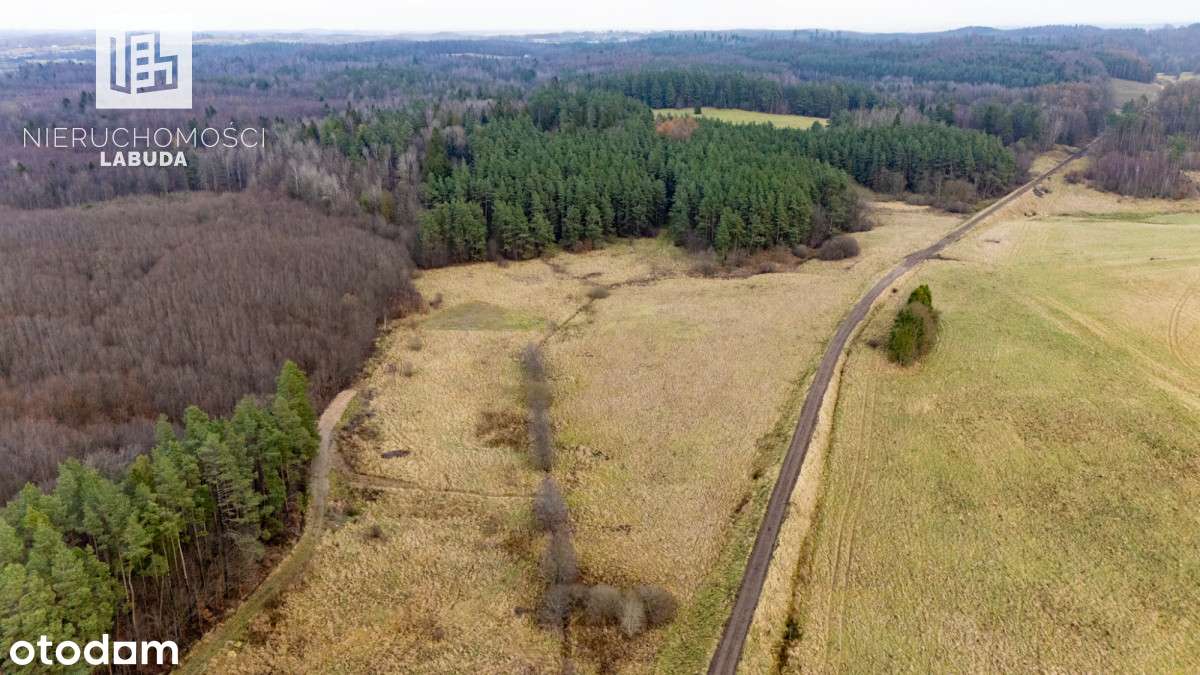 Widokowa działka z WZ przy lesie – Prokowo - Pełny obrazek: 5/7