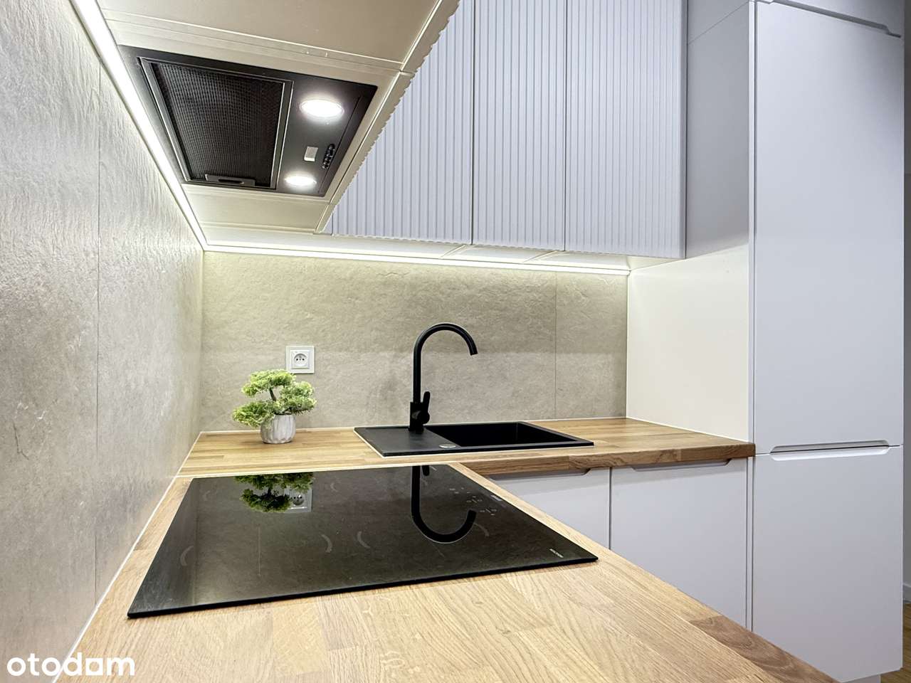 Mieszkanie 3-pokojowe z balkonem PARTER (Wielkopolska) - Pełny obrazek: 4/13