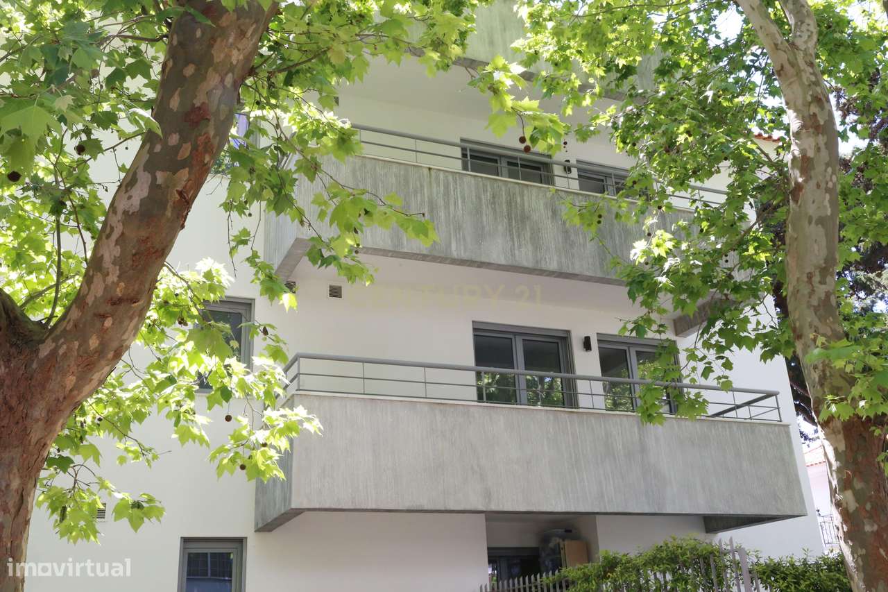 Apartamentos de luxo - Grande imagem: 5/60