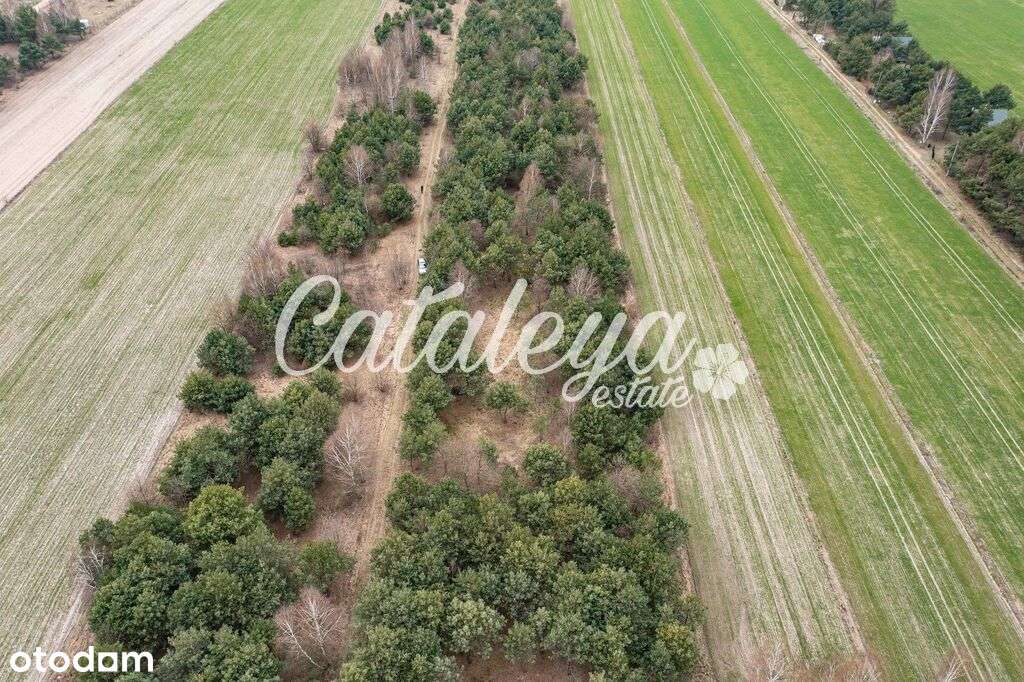 Mazowsze/Rzeka/Natura/Budowlana/Inwestycja/ - Pełny obrazek: 4/10