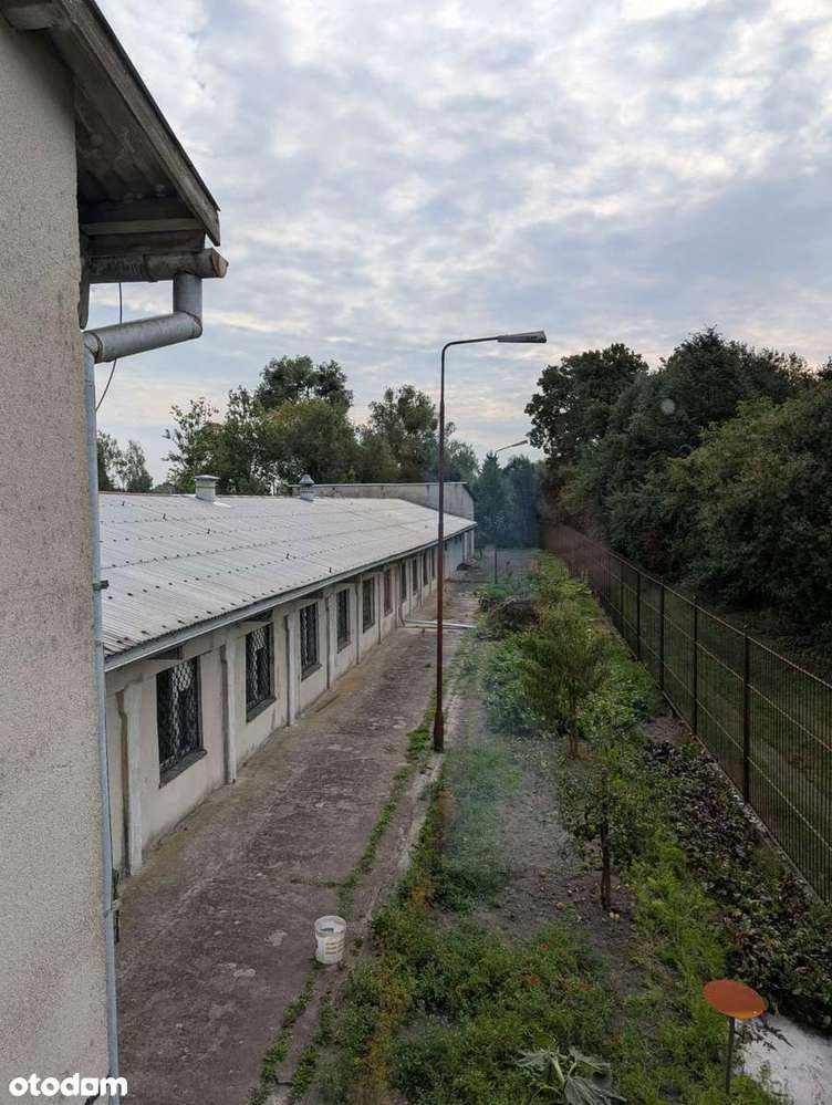 hale produkcyjno-magazynowe - Pełny obrazek: 4/20