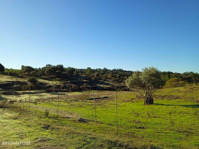 Terreno rústico  6ha - Grande imagem: 4/12