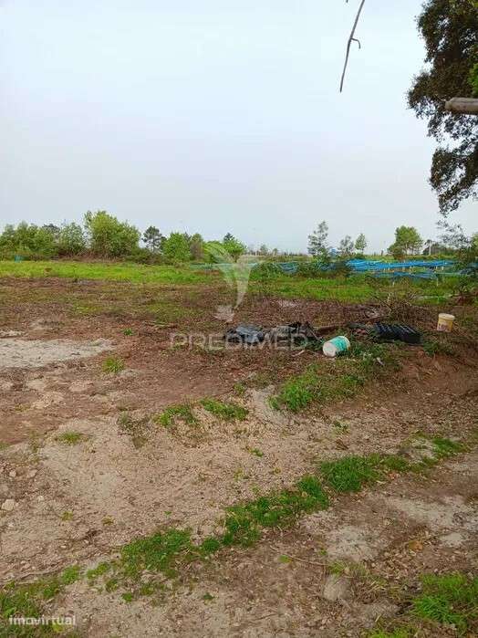 Terreno para possivel Atividade industrial - Sobreiro - Grande imagem: 2/2