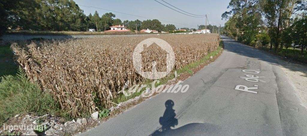 Terreno de construção com 7.600 m2 em Argivai - Grande imagem: 4/5