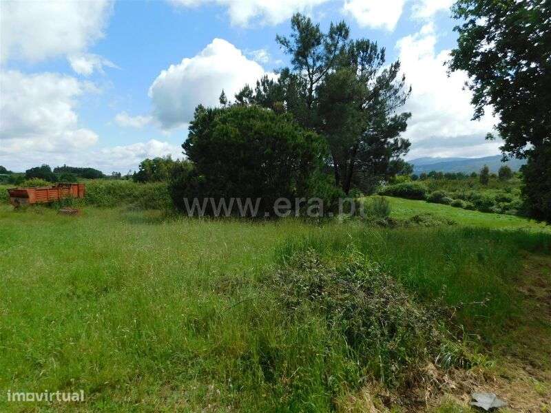 Terreno / Seia, Carragozela e Várzea de Meruge - Grande imagem: 1/6