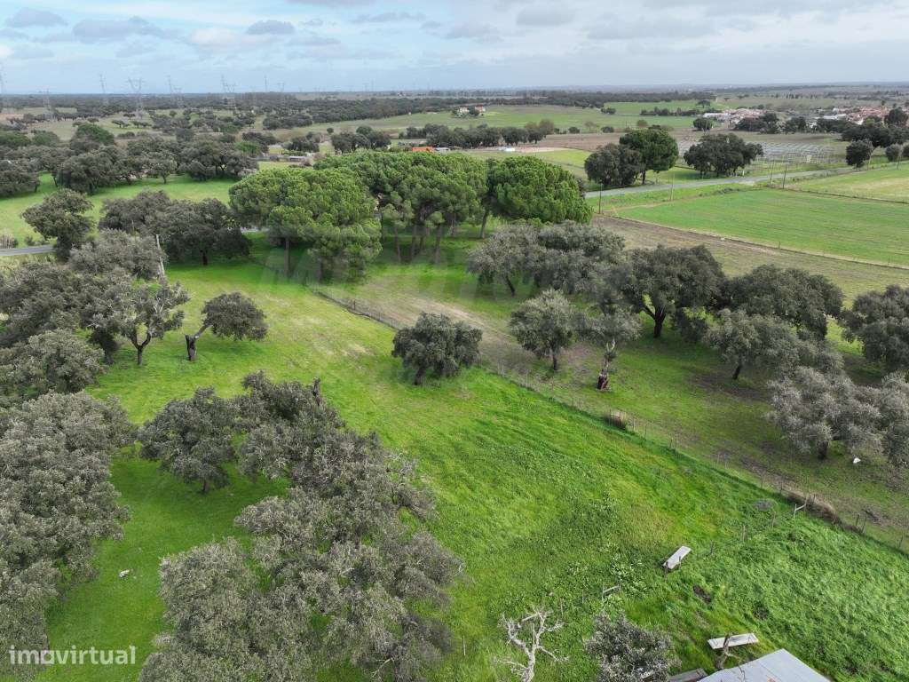 Propriedade Rústica com 11 Hectares junto a Canhestros-26