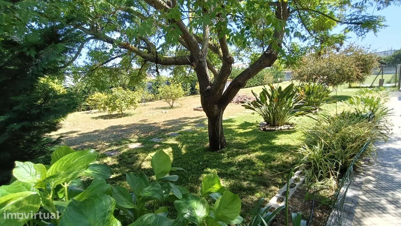 Quintinha, com moradia térrea, a 20 minutos de Lisboa-29