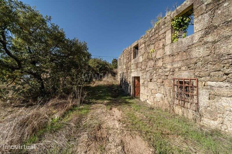 Herdade T6 / Covilhã, Boidobra-5