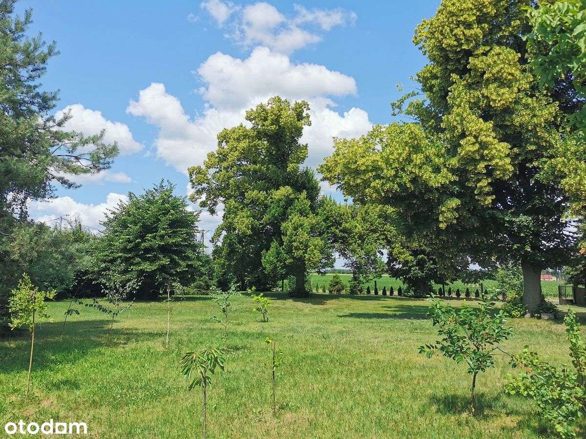 Klimatyczny dom z potencjałem i dużą działką-19