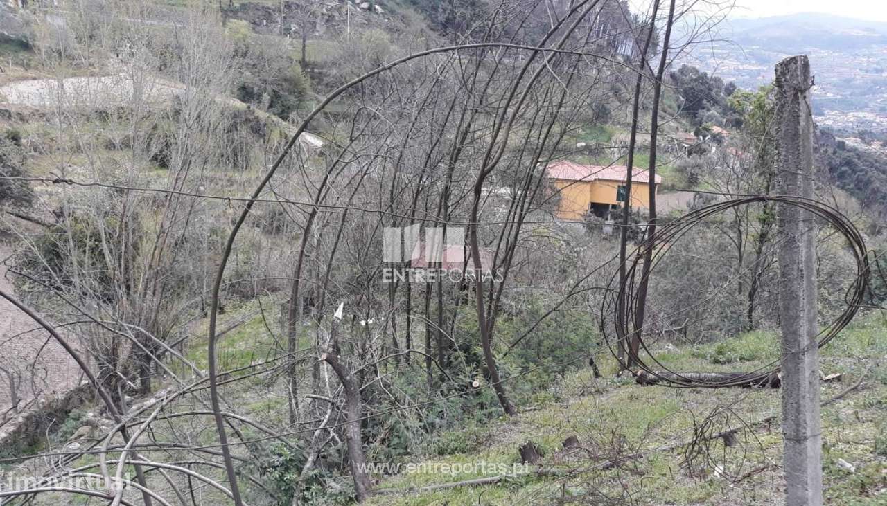 Venda Terreno, confronta ribeiro, São Tomé de Covelas, Baião - Grande imagem: 3/10