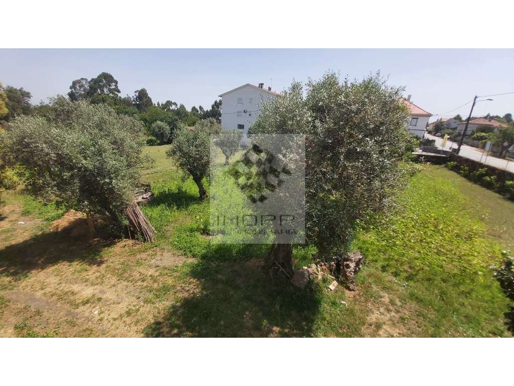 Fabulosa propriedade na zona centro do país com mais de 4.000m2 e m...-9