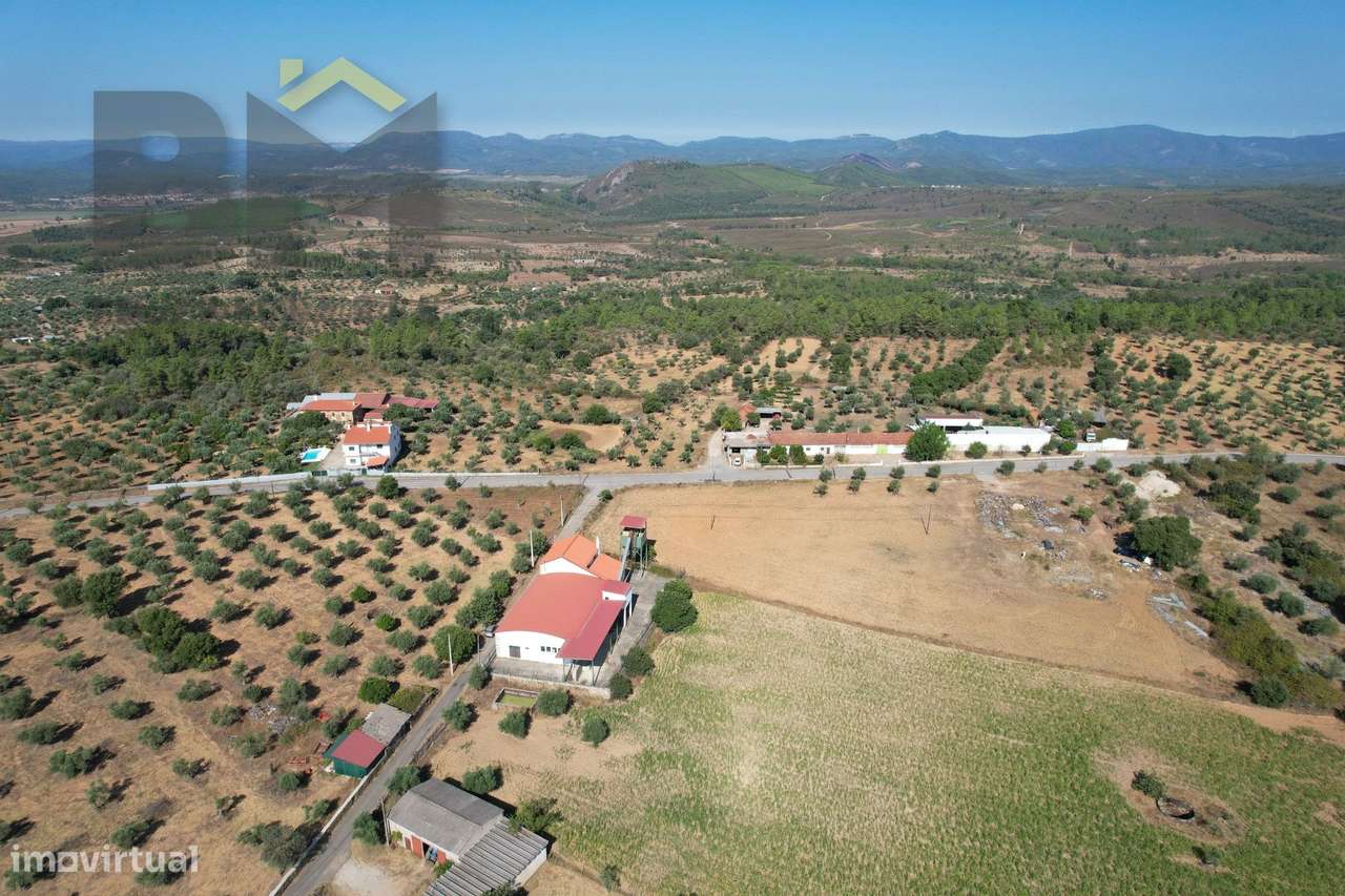 Lagar de Azeite  Venda em Freixial e Juncal do Campo,Castelo Branco - Grande imagem: 5/45