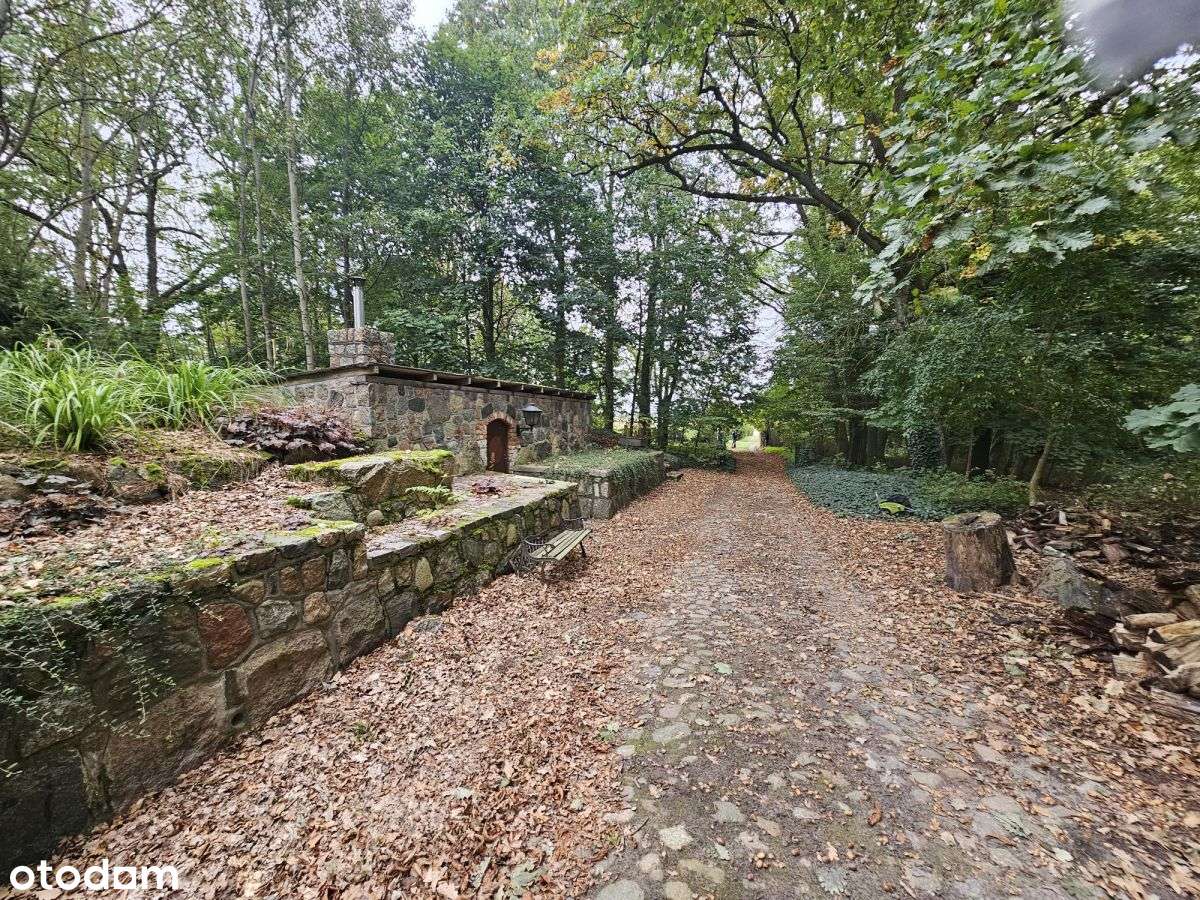 Działka wielofunkcyjna, Spa, Dom opieki, siedlisko-5