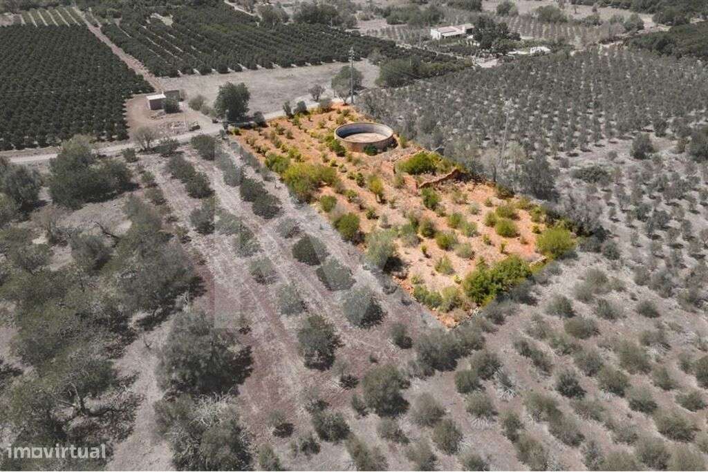 Terreno com ruína - São Bartolomeu de Messines - Grande imagem: 2/24