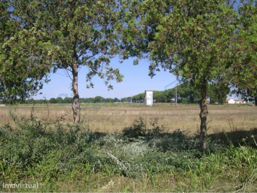 Terreno Industrial para Polo Logístico em Canha, Montijo-10