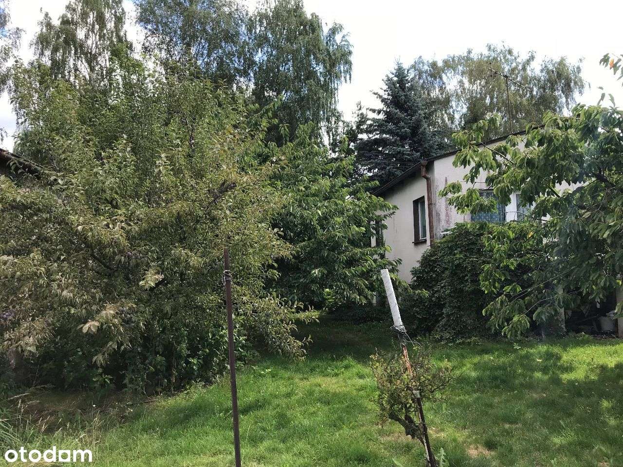 ROKIETNICA | dom do remontu/rozbudowy/rozbiórki-9